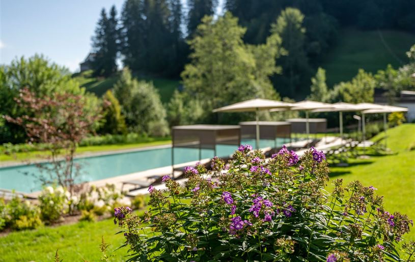 pool-mit-lila-blumen